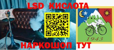 гашик Бийск