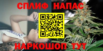 гашик Бийск