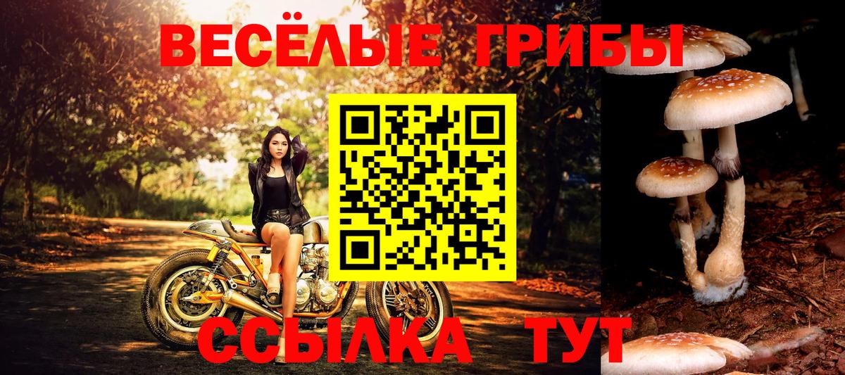  Cocaine Кимры