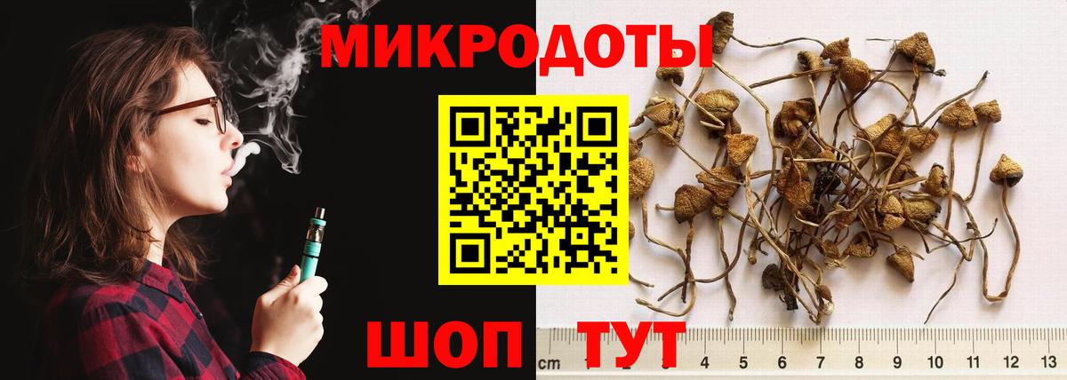 Псилоцибиновые грибы Cubensis Кимры
