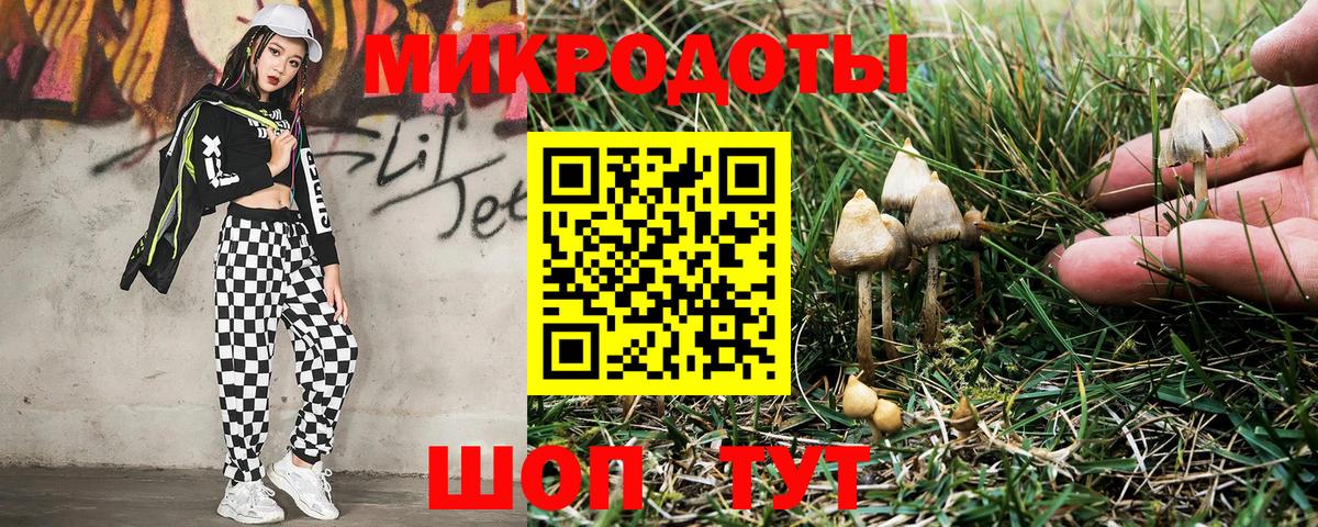 Галлюциногенные грибы MAGIC MUSHROOMS  Псилоцибиновые грибы Psilocybine cubensis  Кимры  Вход с VPN 